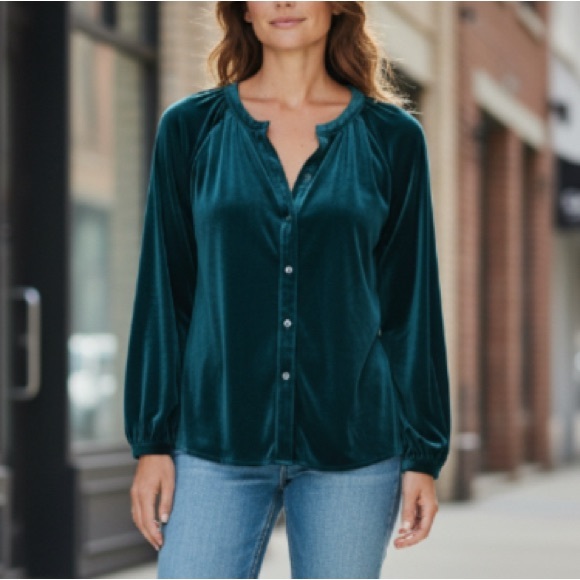 Bobi Los Angeles Jade Velvet Top Size Large - Picture 1 of 14
